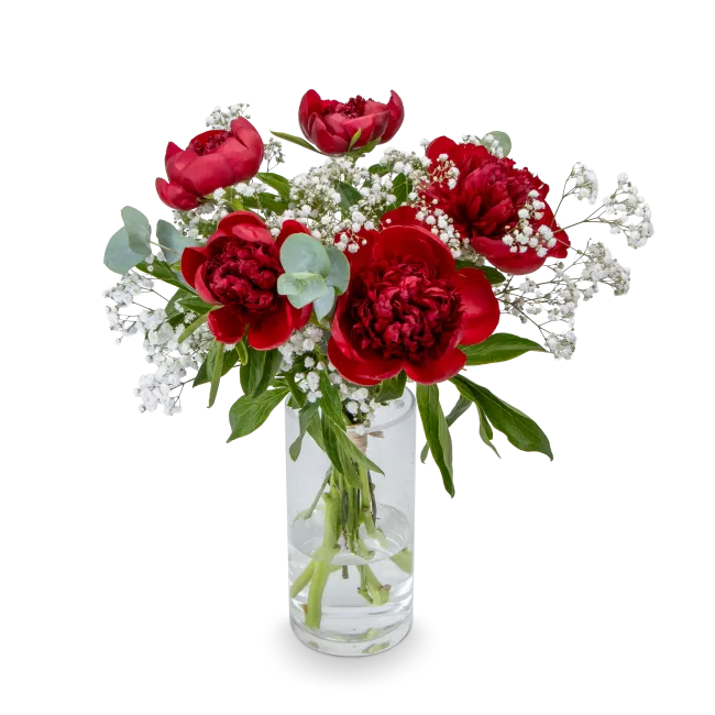 Kytice červených pivoněk